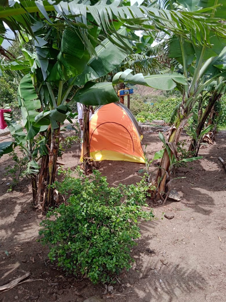 Wintry Mountain Landscape